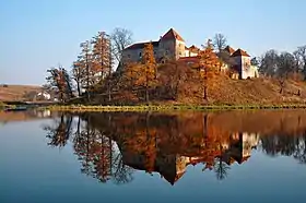 Image illustrative de l’article Château de Svirj