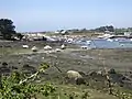 Le port de Porscave (Porscaff) en Lampaul-Plouarzel vu depuis le GR 34 (rive droite de l'anse de Milin an Aod en Plouarzel) à marée basse.