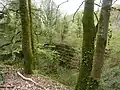 Bois de Mezle : ancienne carrière d'ardoises, haut de l'escalier de l'un des puits d'exploitation.