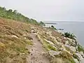 Les falaises du Guern en direction de Telgruc-sur-Mer (le GR 34 traversant les affleurements de grès armoricain et la lande fleurie).