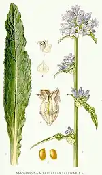 Illustration.