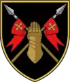 Image illustrative de l’article 5e brigade de chars (Ukraine)