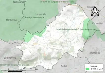Carte des ZNIEFF de type 1 sur la commune.
