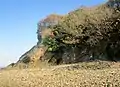 Les falaises près du Fret à l'est de Porzh Cave (en Lanvéoc) 1.