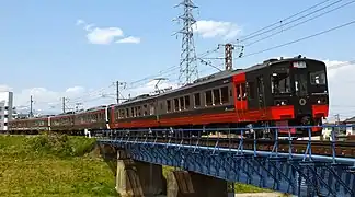 719-700 Fruitea
