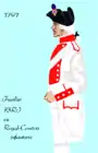 73e régiment d’infanterie de ligne de 1791 à 1796