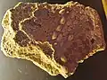 Fragment d'enduit peint avec incrustation de coquillages (villa de Kervenennec, probablement IIIe&nbsp;siècle après J.-C.).