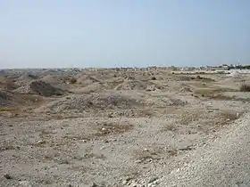 Image illustrative de l’article Tombes de la culture Dilmun