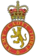 Image illustrative de l’article Force des Cadets de l'Armée