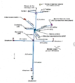 Schéma 1 : disposition des équipements et du câblage de l'ALSEP sur le sol lunaire.
