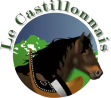 Association pyrénéenne ariégeoise du cheval de Castillon