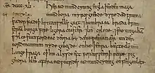 Gros plan sur une page en parchemin présentant du texte écrit en minuscules à l'encre noire, précédé de l'indication d'une date en chiffres romains
