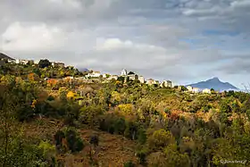 Novale