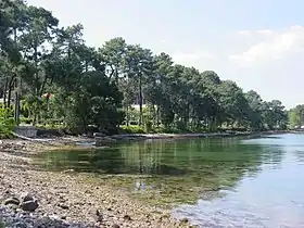 île de la Toja