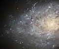 Autre version de NGC 7793 par le télescope spatial Hubble.