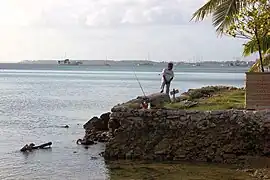Pêcheur à Majuro.