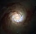 M61 par le télescope spatial Hubble.