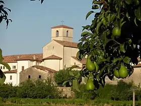 Manzano