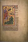 Bestiaire d'Aberdeen, la création des oiseaux