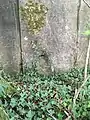 Face latérale munie d'une goulotte lance-grenades.