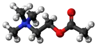 Image illustrative de l’article Acétylcholine