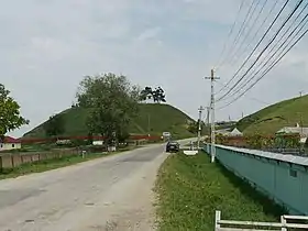 Negri (Bacău)