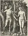 La Chute de l’homme, Albrecht Dürer.