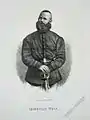 Luigi Wolff (en) (1861).