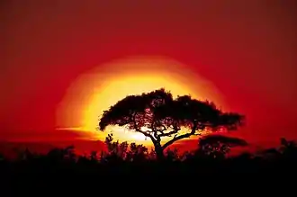 photographie d'un coucher de soleil