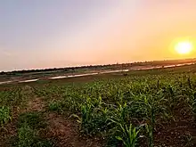 Agriculture