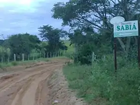 Piratininga