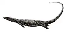 Vue d'artiste d'Aigialosaurus, un animal très proche de Carsosaurus.