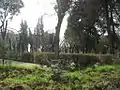 Vue du jardin public