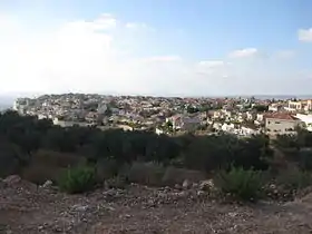 Alfei Menashe