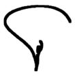Signature de Ali Ahmadzadeh