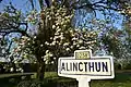 Alincthun et son cerisier.