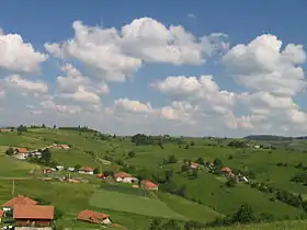 Aljinovići
