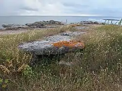 L'allée couverte de la pointe de Guéritte (Gergerit).