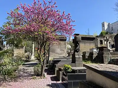 Allée principale.