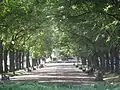 Une place en août 2011