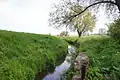 L'Aller près de Wefensleben, environ à 10&nbsp;km de la source.