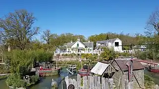 Alligator baie