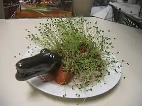 illustration de Chia Pet