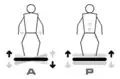 Plate-forme A et P, A: Oscillante (Alternatives), P: Vibrante (Parallèles)