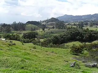 Paysage typique de l'Altiplano cundiboyacense dans le Boyacá