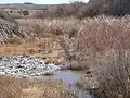 Le désert de l'Amargosa
