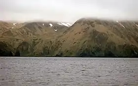 Côte de l'île Amatignak