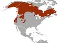 Aire de répartition de la Martre d'Amérique