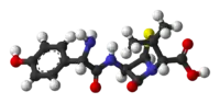 Image illustrative de l’article Amoxicilline