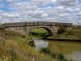 Amusco